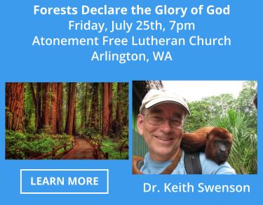 Forests Declare The Glory of God