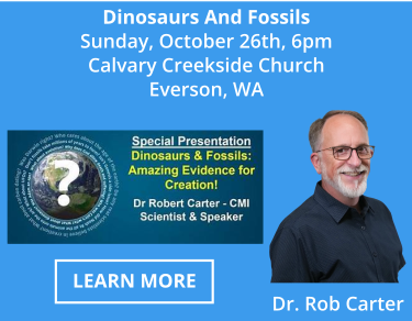 Dinosaurs & Fossils